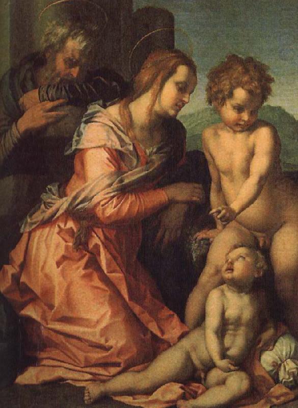 Andrea del Sarto Holy Family china oil painting image